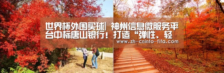 世界杯外围买球