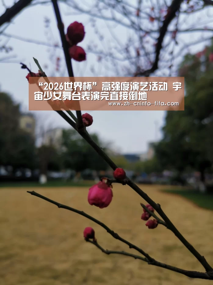 “2026世界杯”高强度演艺活动 宇宙少女舞台表演完直接倒地